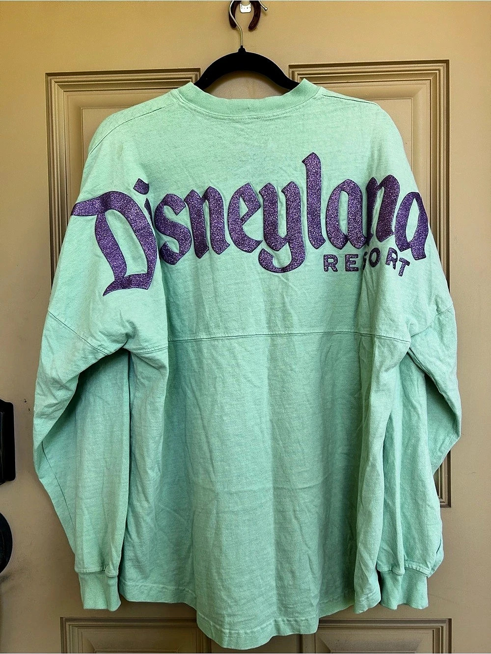 Disney Parks Disneyland The Little Mermaid Ariel Princess Spirit Jersey